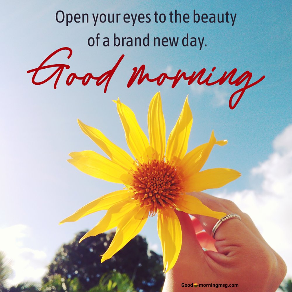 Good Morning Blessing Quotes