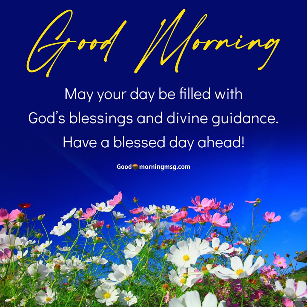 Good Morning Friday Blessings