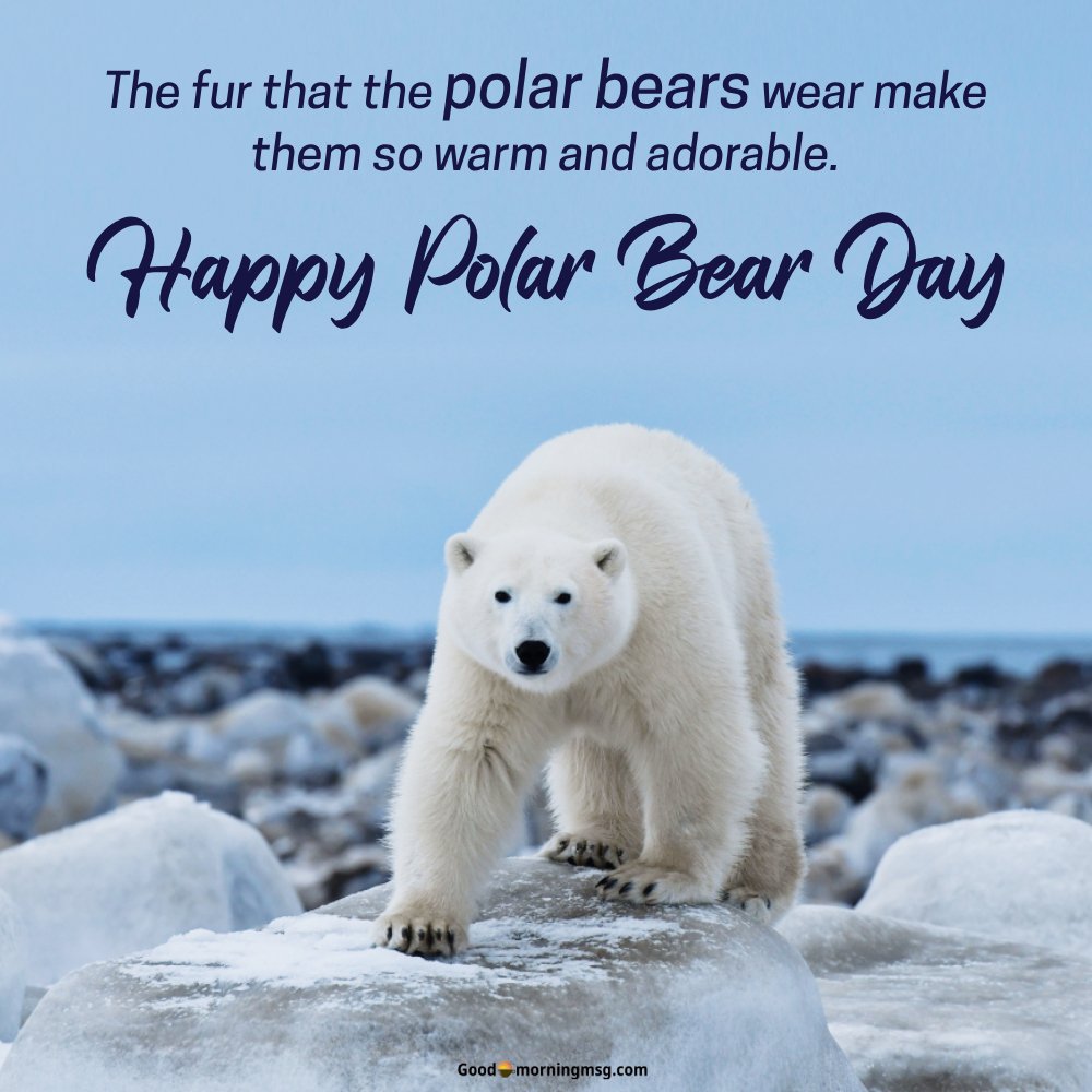 Happy International Polar Bear Day