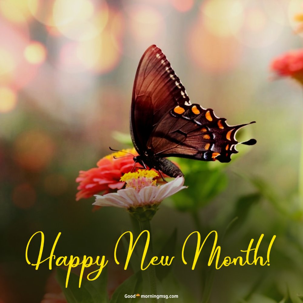 Happy New Month Prayer To My Friend