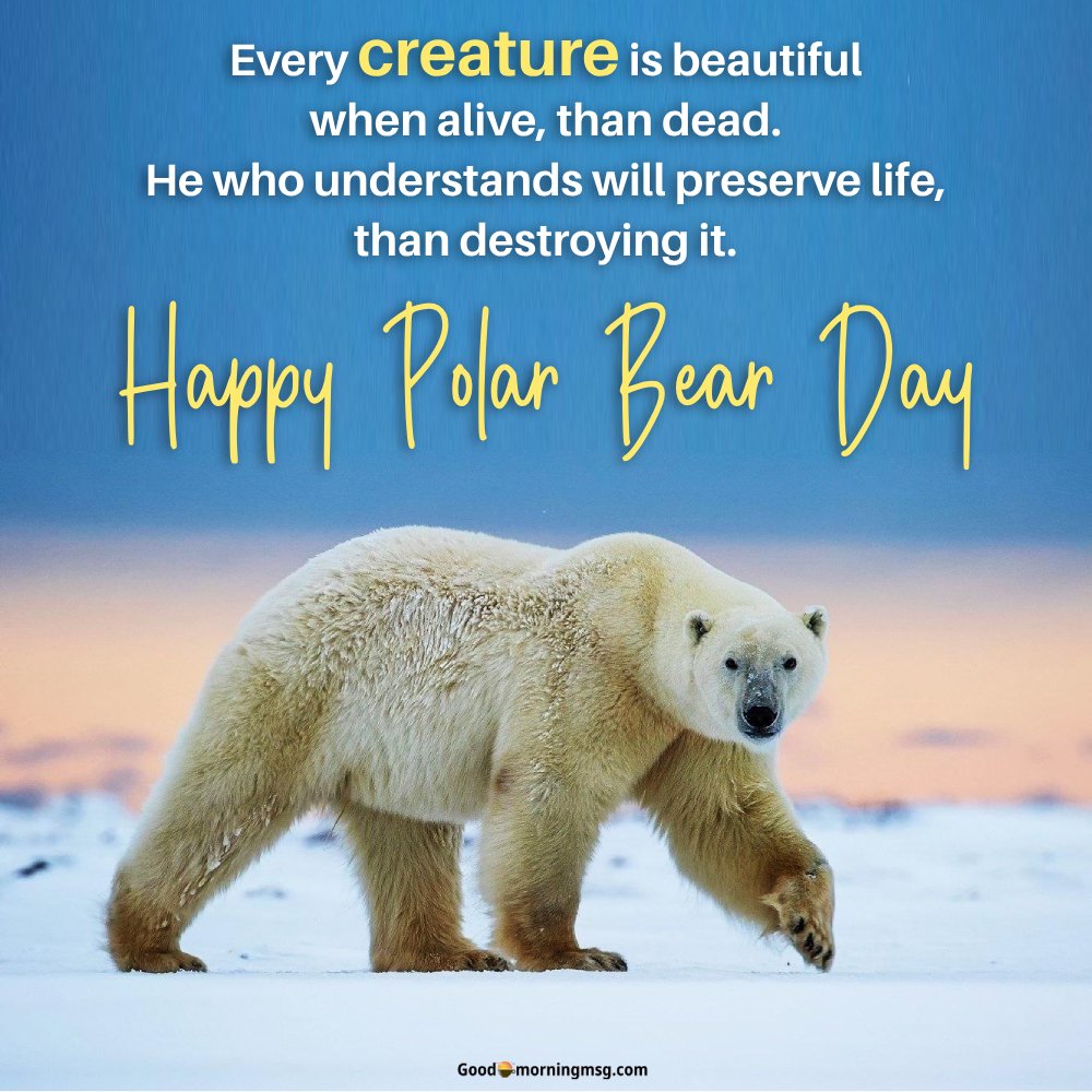 Happy Polar Bear Day Protect Their Future