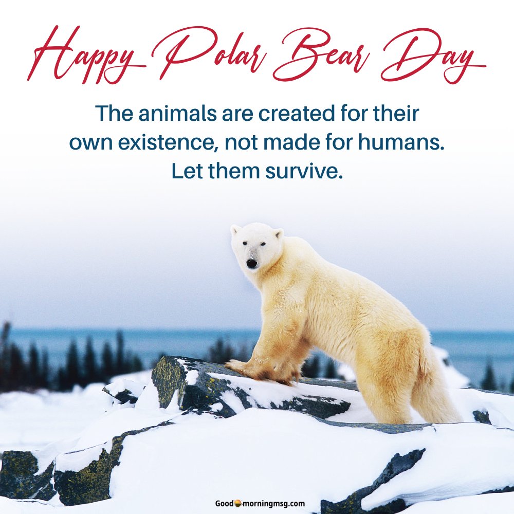 Happy Polar Bear Day