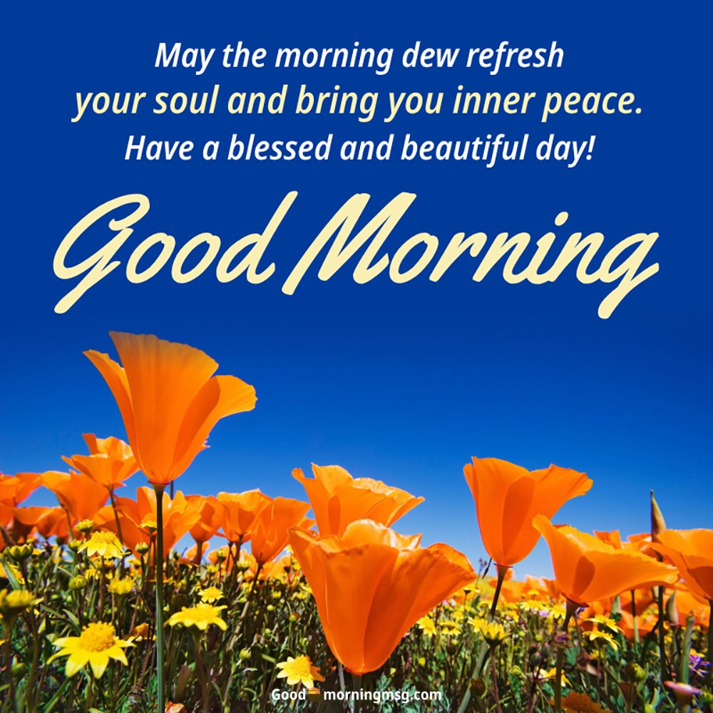 Happy Tuesday Blessings