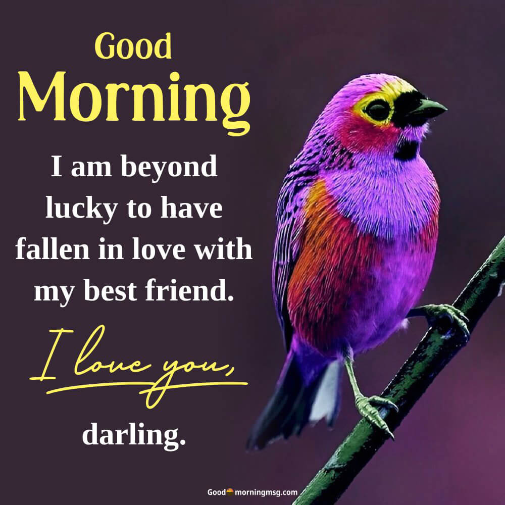 Image Of Beautiful Birds