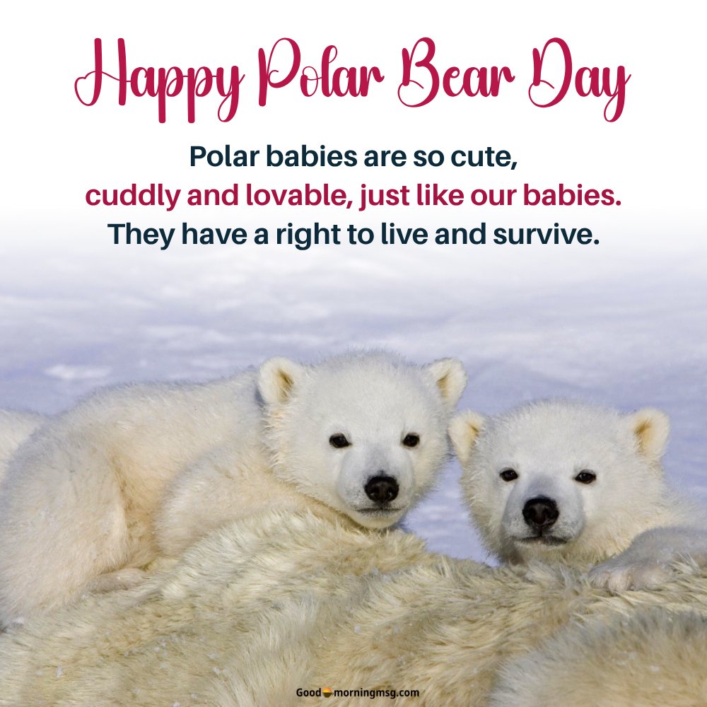 International Polar Bear Day 2025