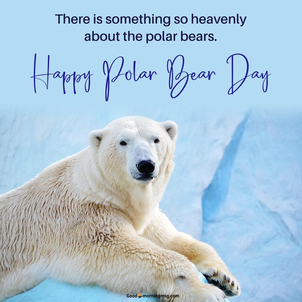 International Polar Bear Day Activites