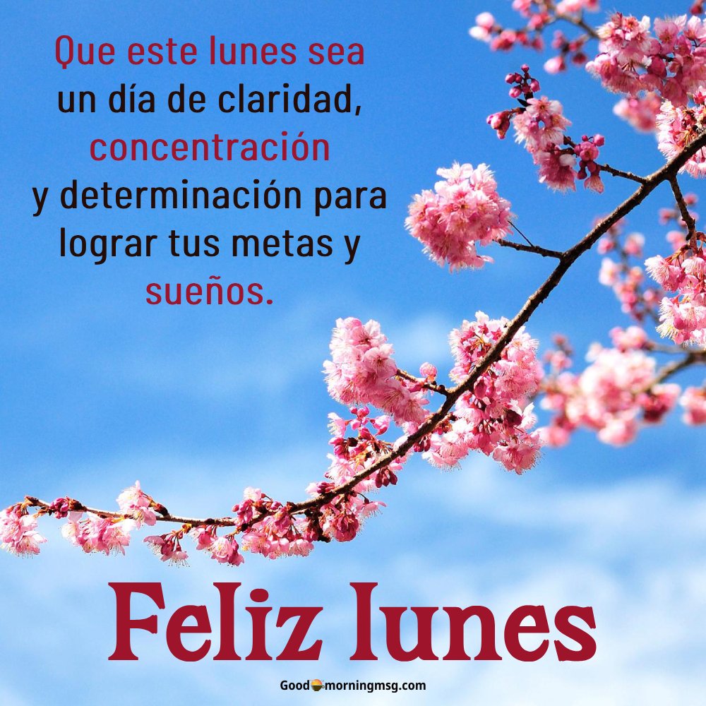 Lunes Feliz