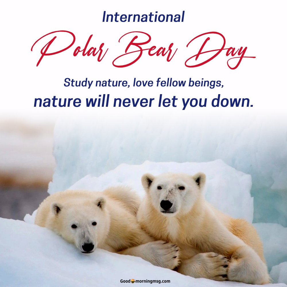 National Polar Bear Day