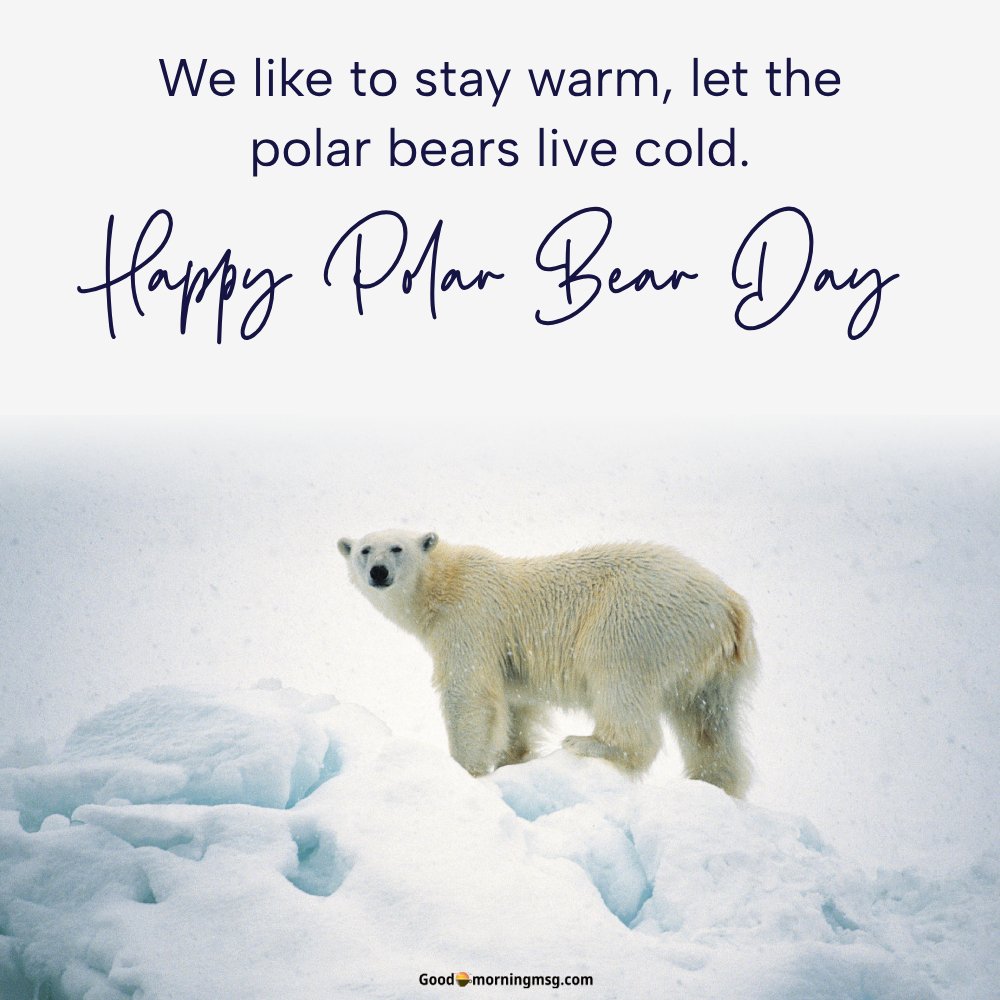 Polar Bear Day Speech