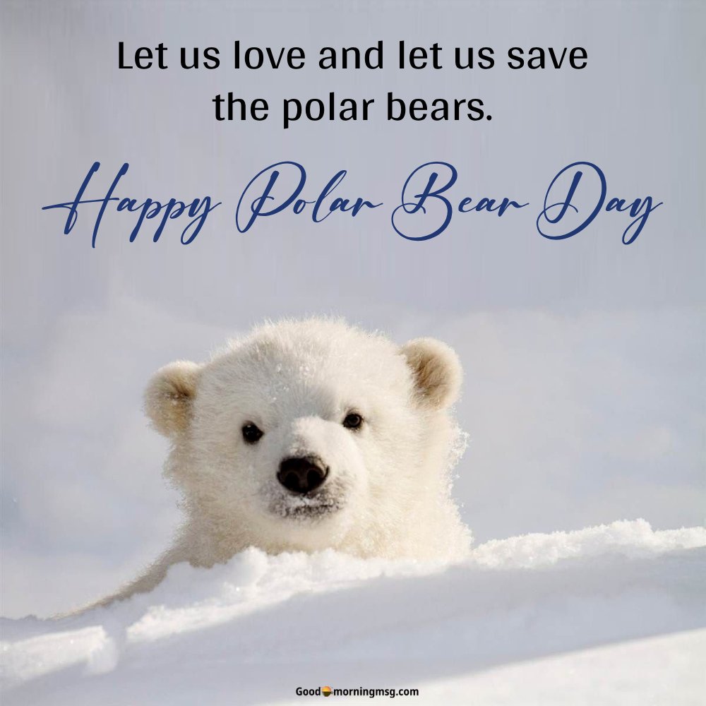 Polar Bear Week