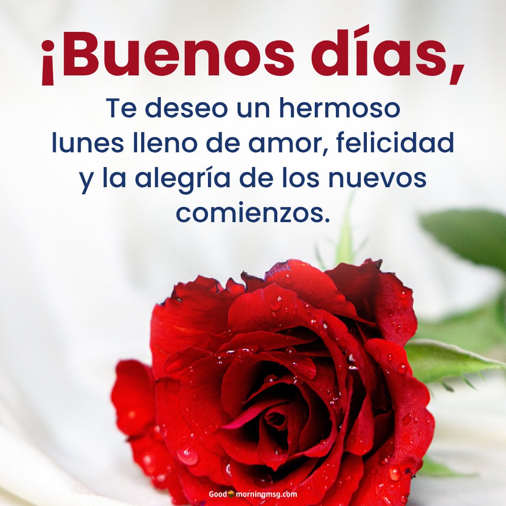 Bendecido Inicio De Semana