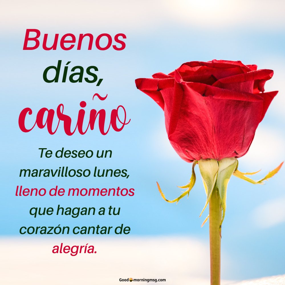 Buen Dia Amor