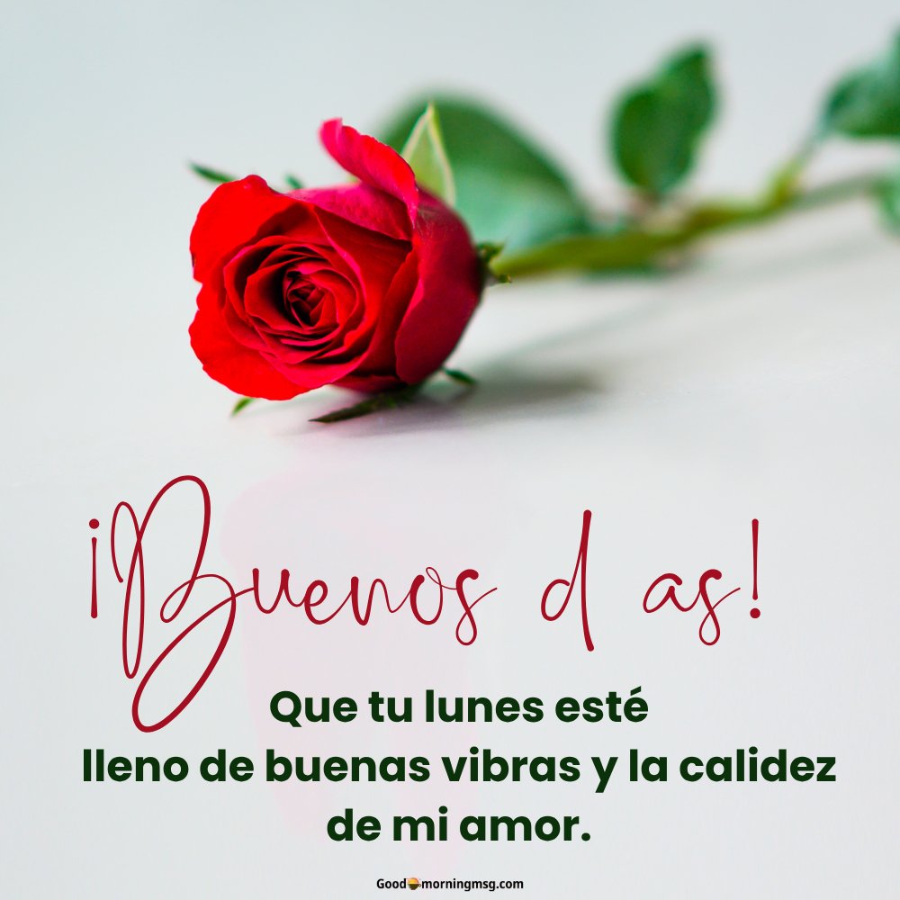 Buen Dia Mi Amor