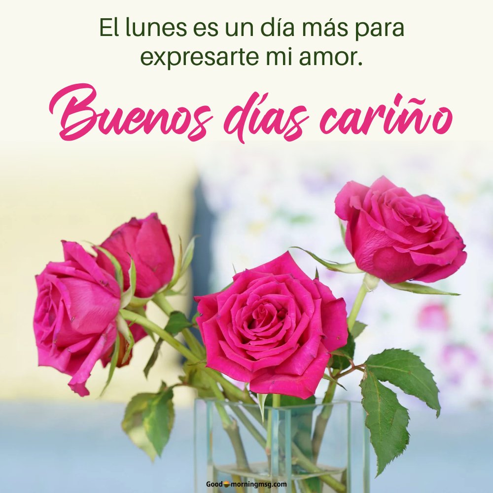 Feliz Lunes Inicio De Semana