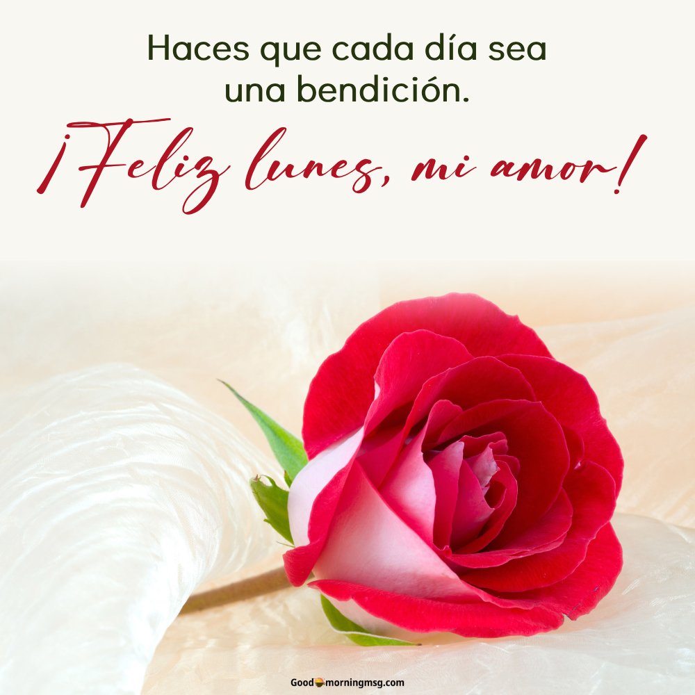 Frase De Lunes Motivadora