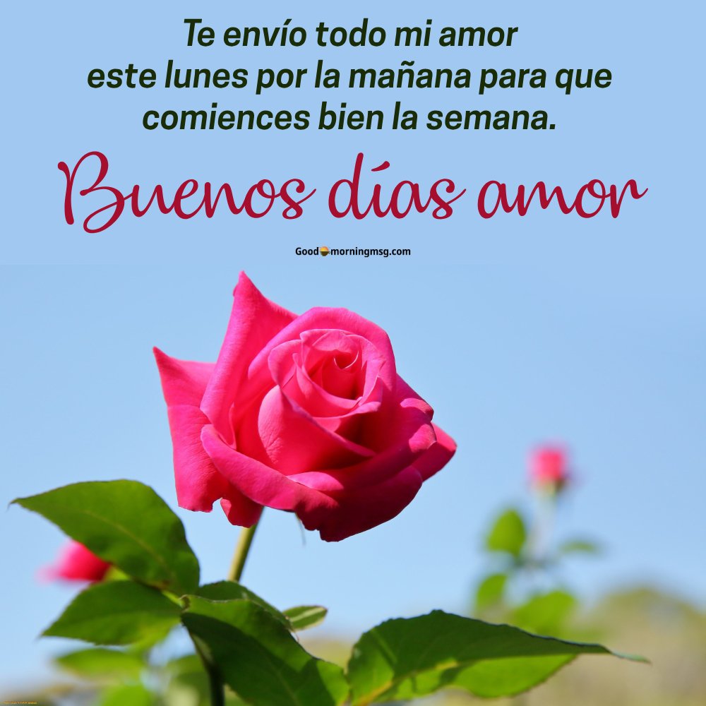 Frase Para Lunes