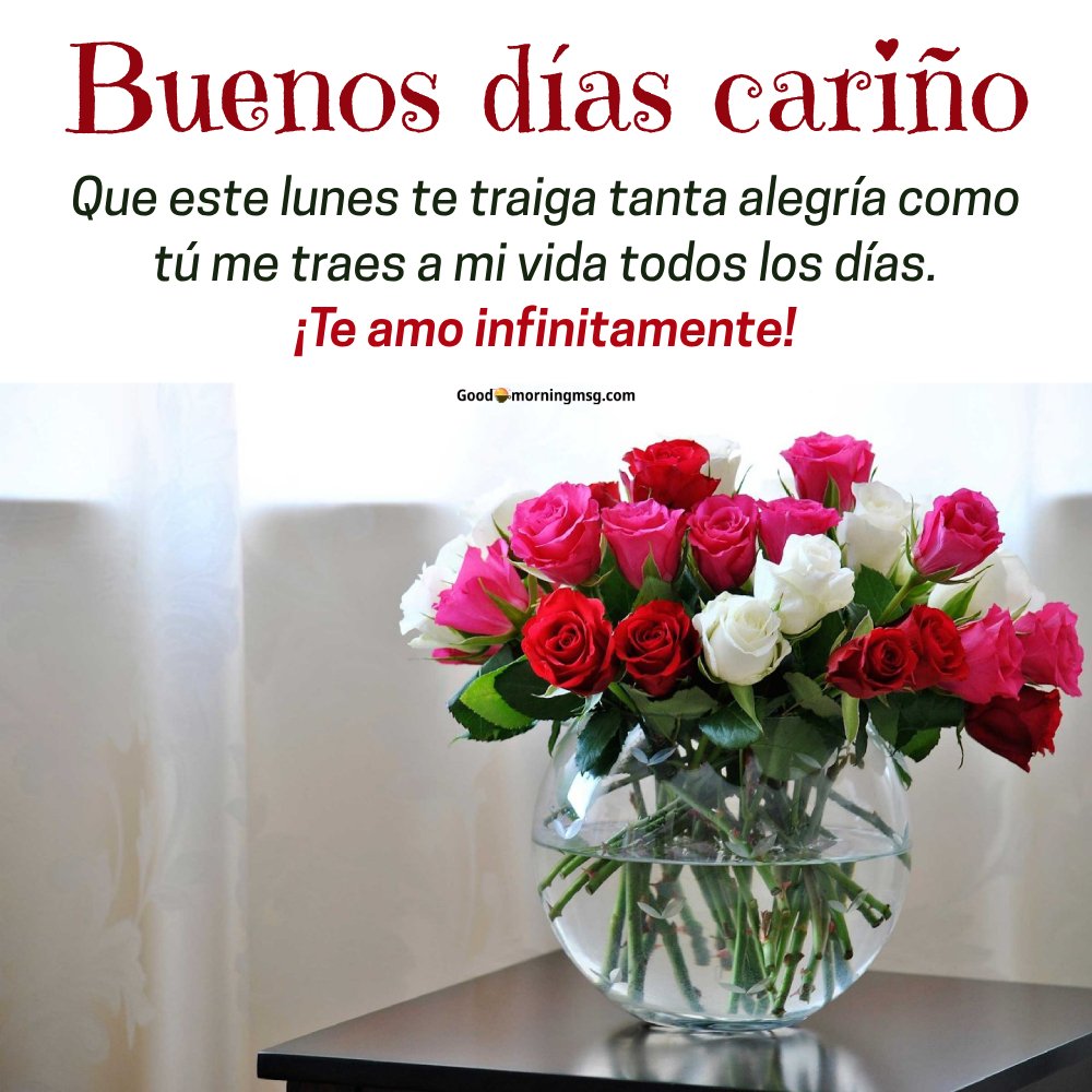 Frases Positivas Lunes
