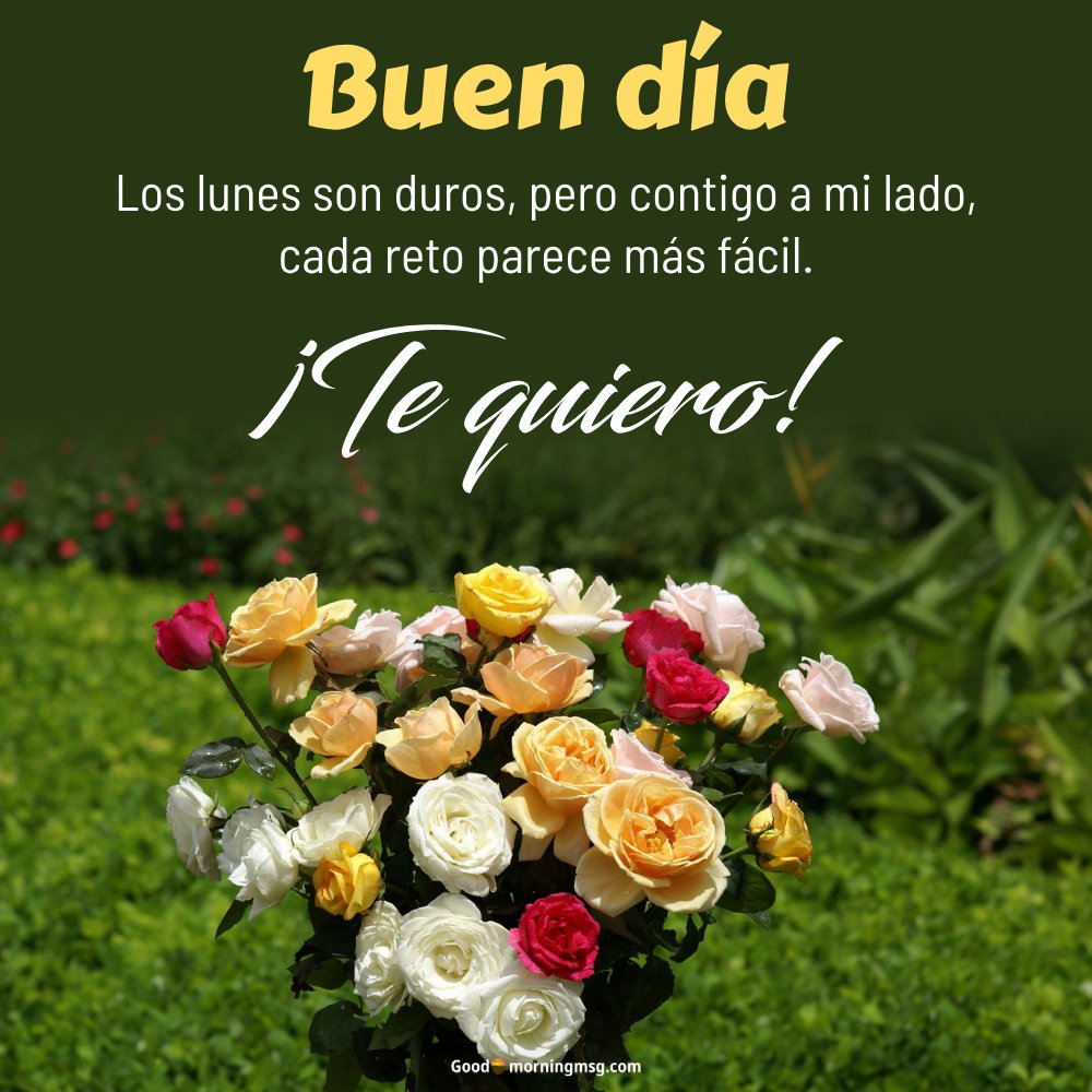 Lunes Feliz Inicio De Semana