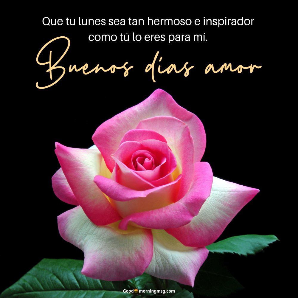 Lunes Frases Positivas