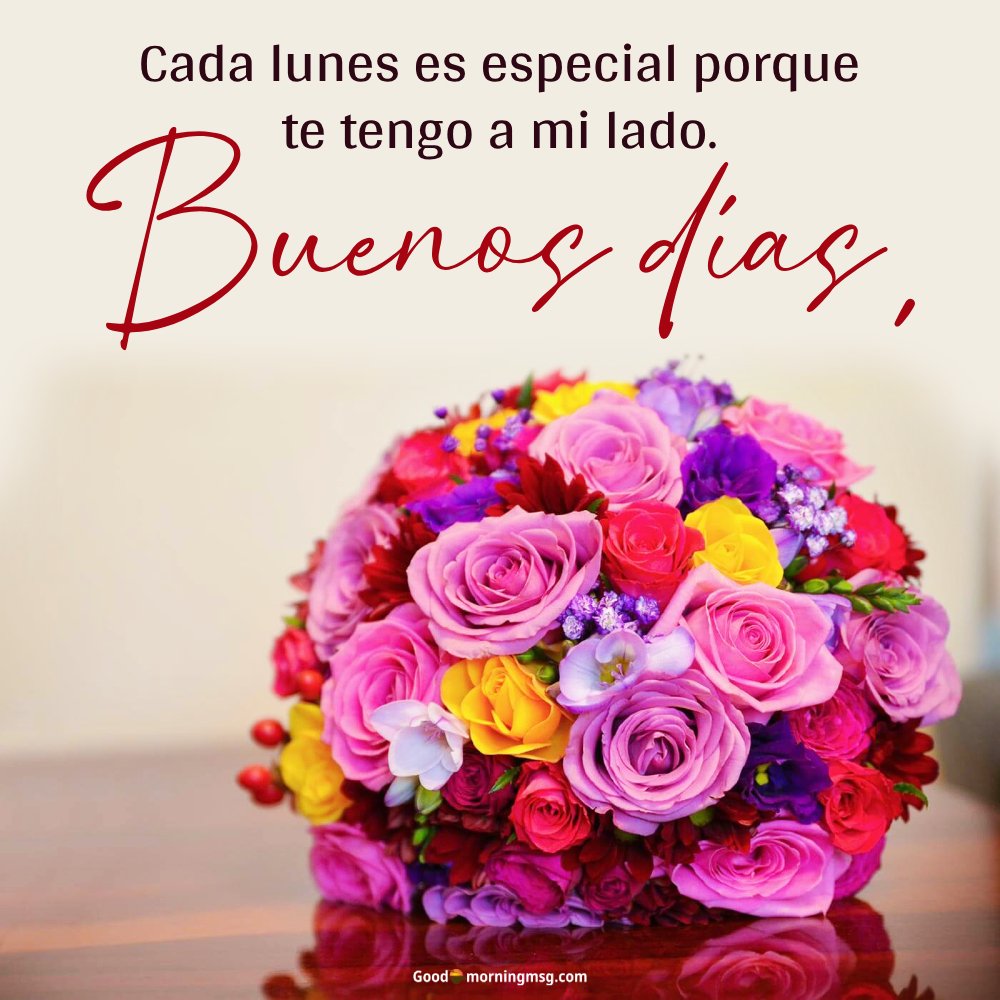 Lunes Positivo Frases