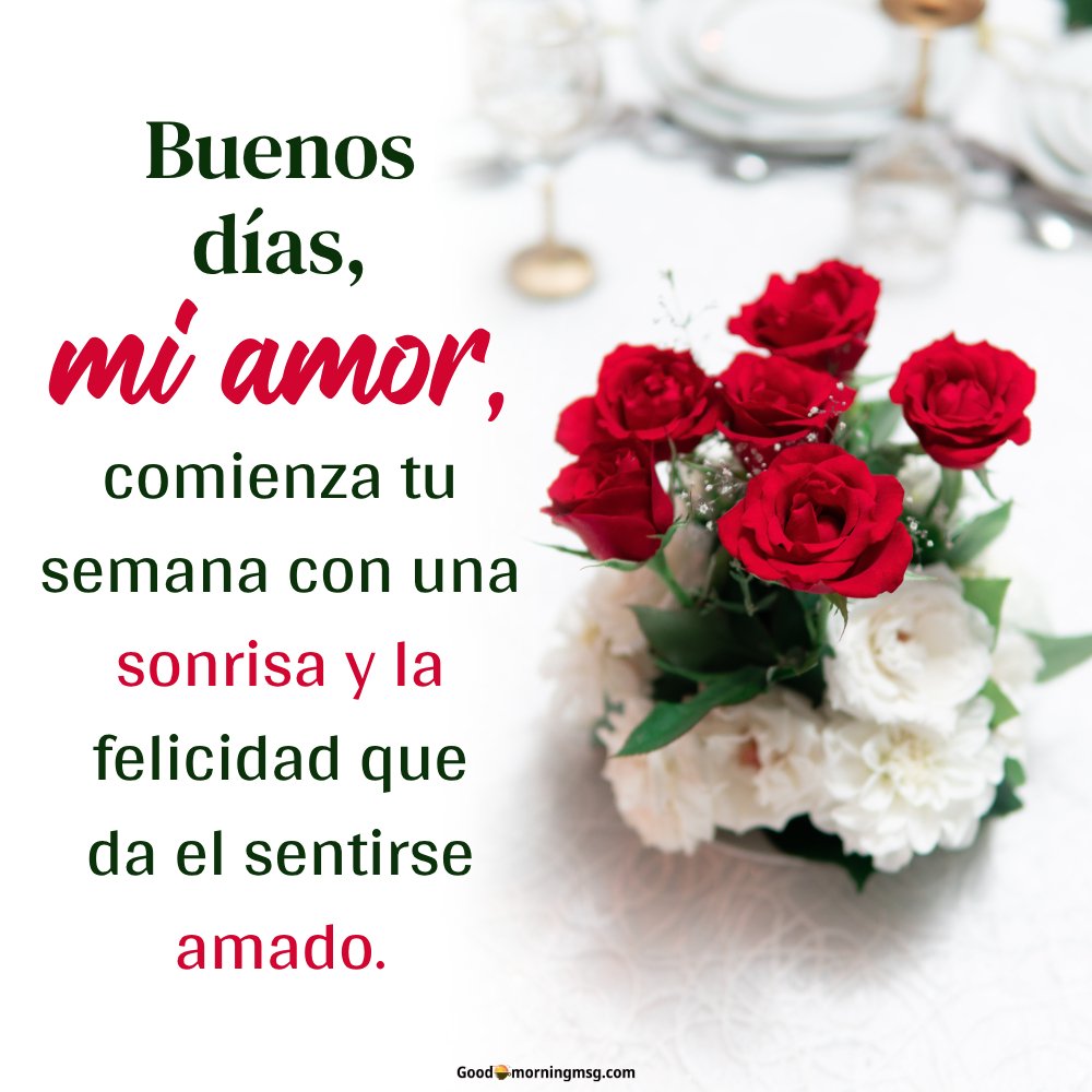 Mi Amor Buenos Dias