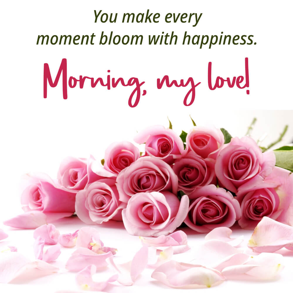 Good Morning Flower Images Hd