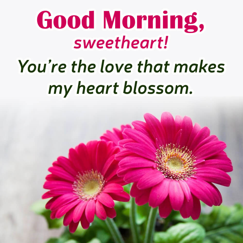 Good Morning Flowers For A Friend