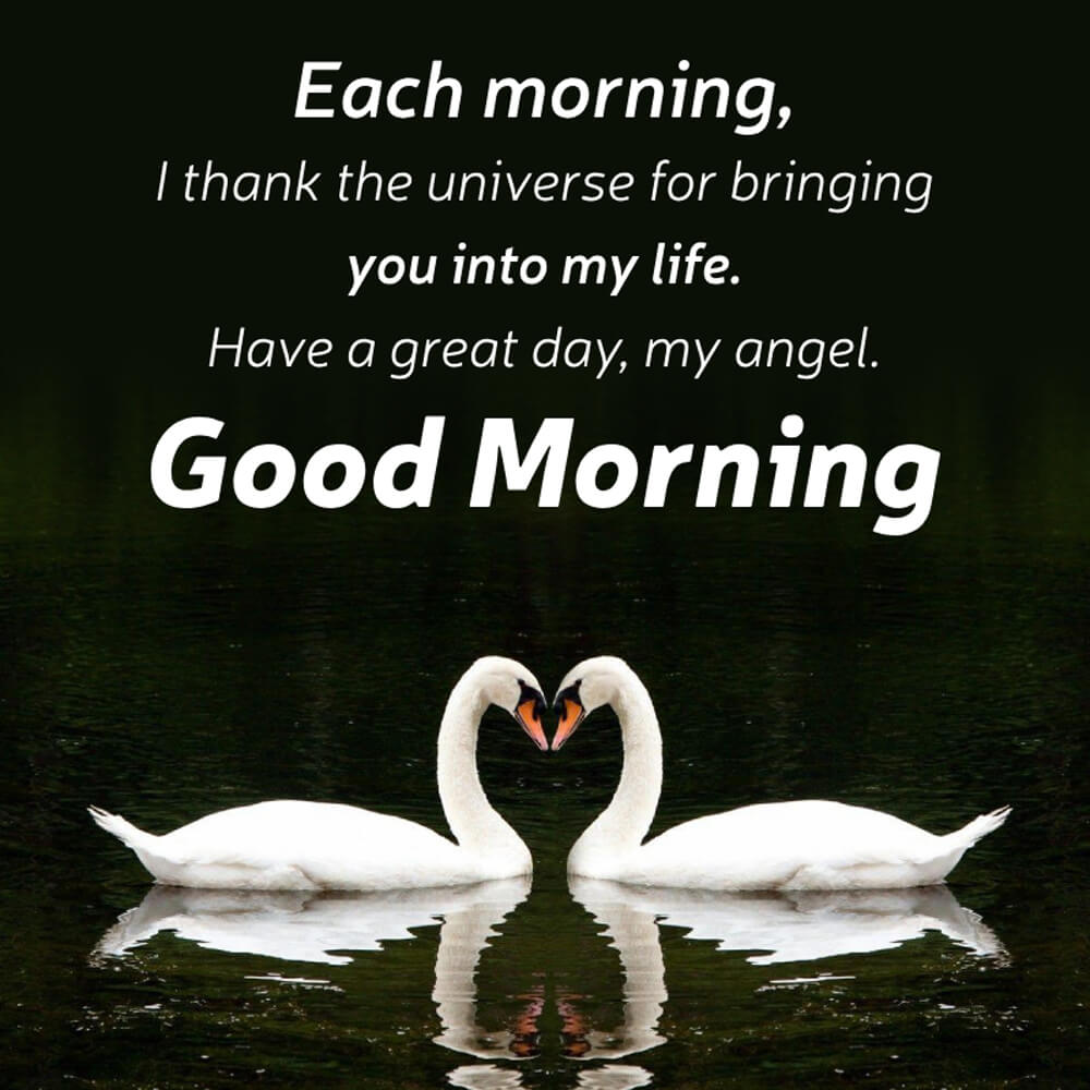 Good Morning For My Wife