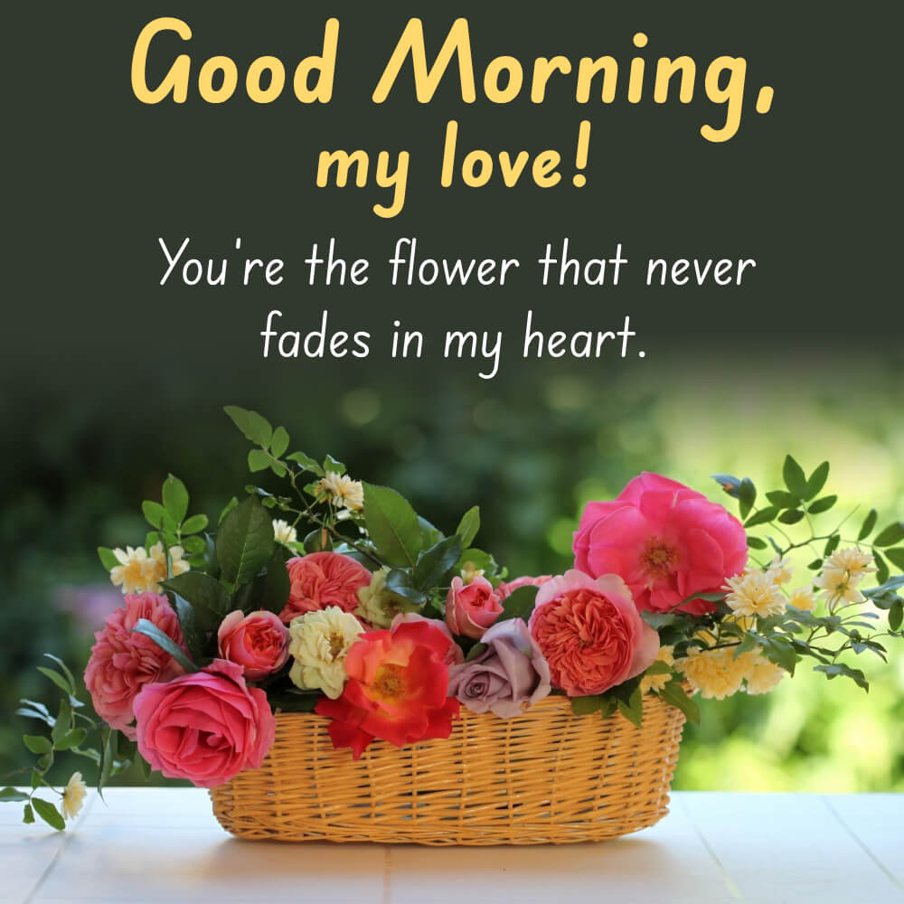 Good Morning Romantic Flower