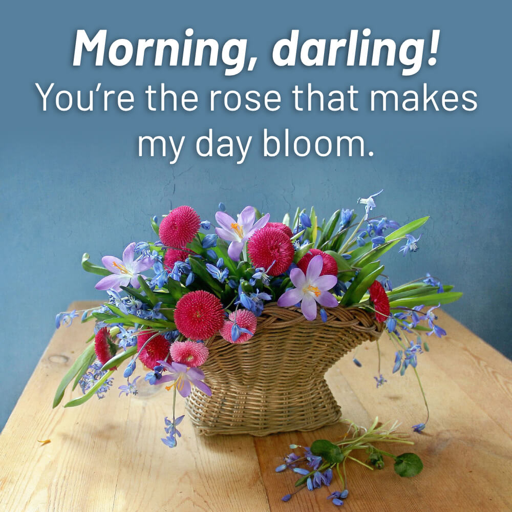 Good Morning Romantic Flowers