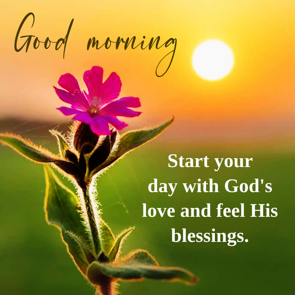 Good Day Wishes For My Love