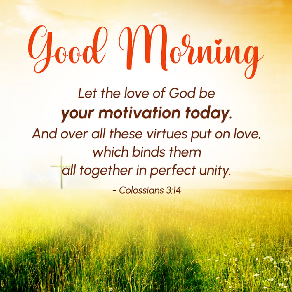 Good Morning Cute Flowers