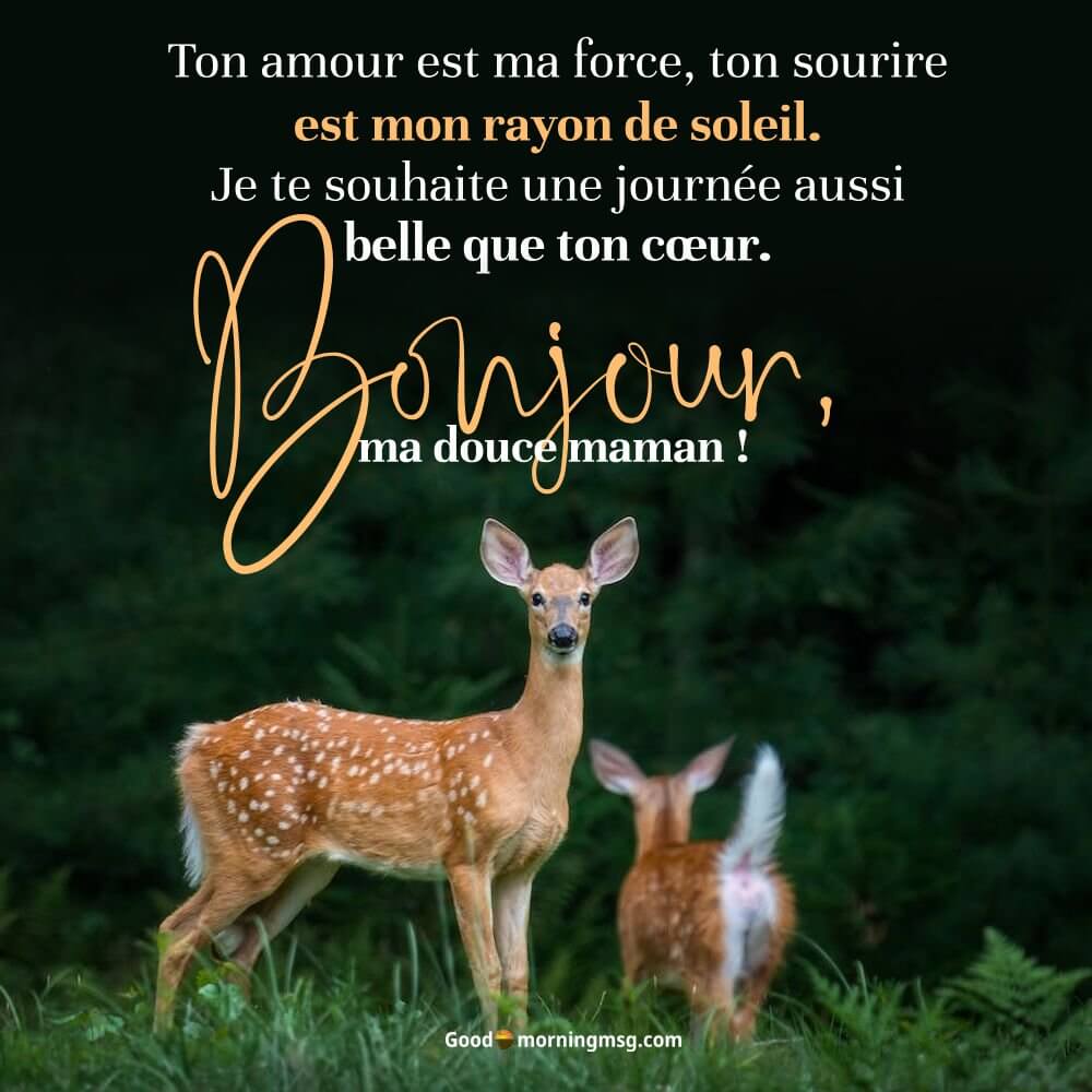 Good Morning French
