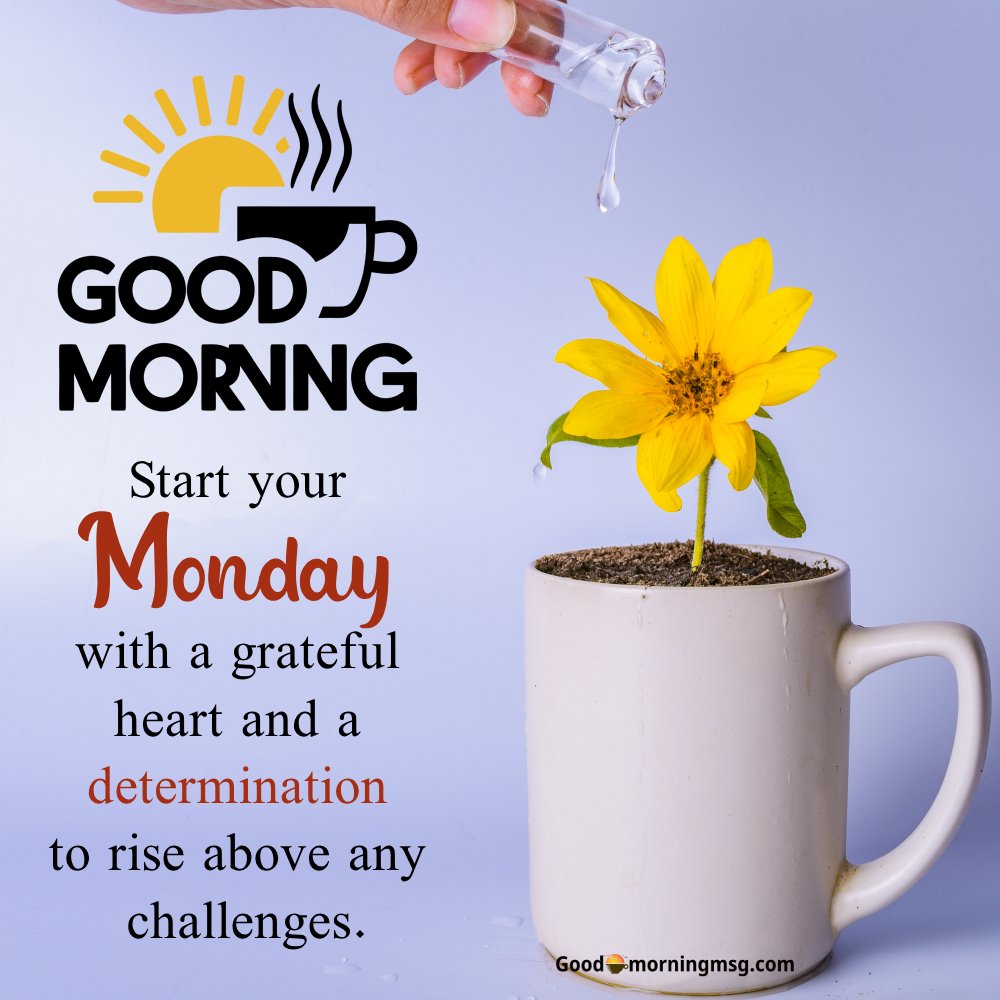 Good Morning Spring