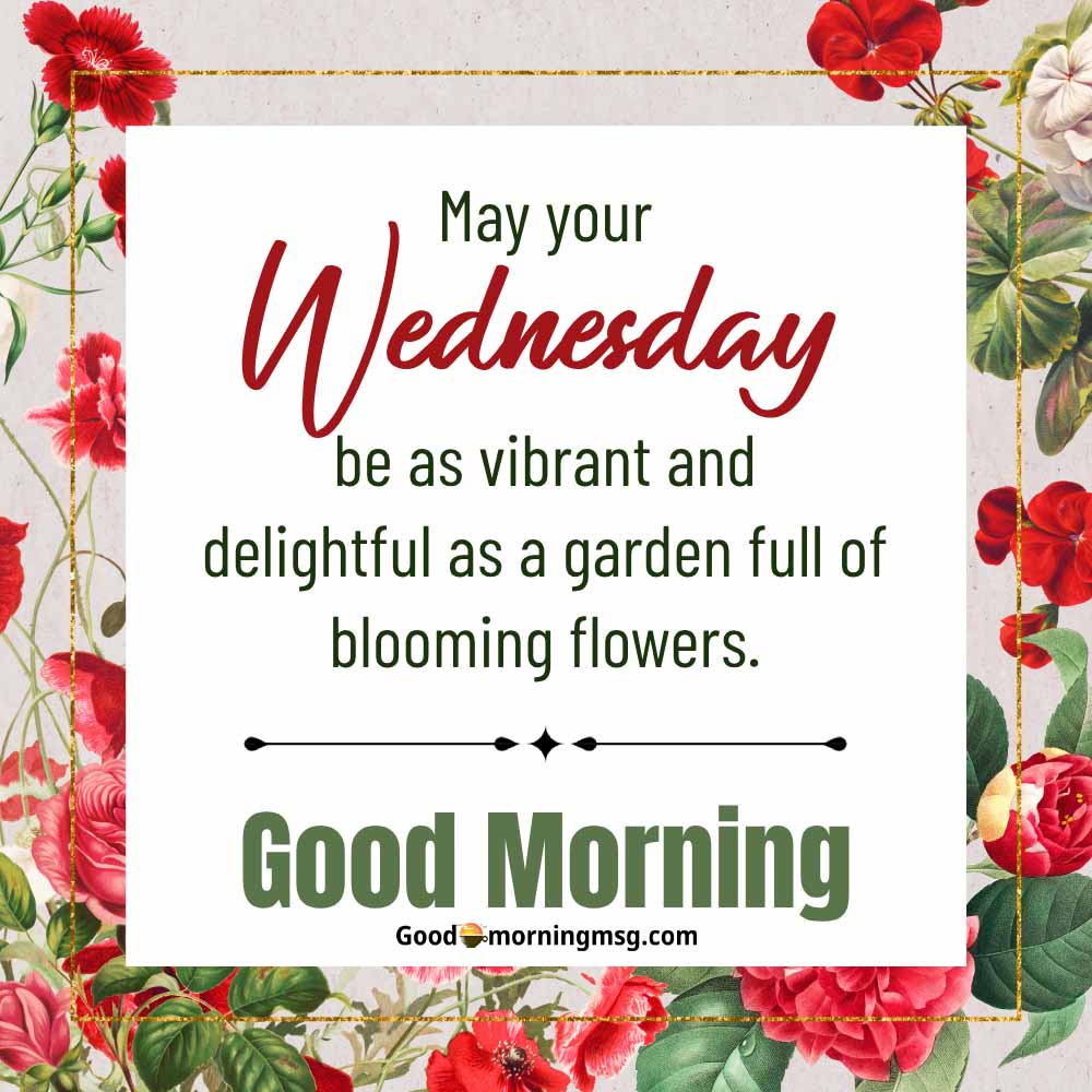 Good Morning Wednesday Gifs I Goodmorningmsg