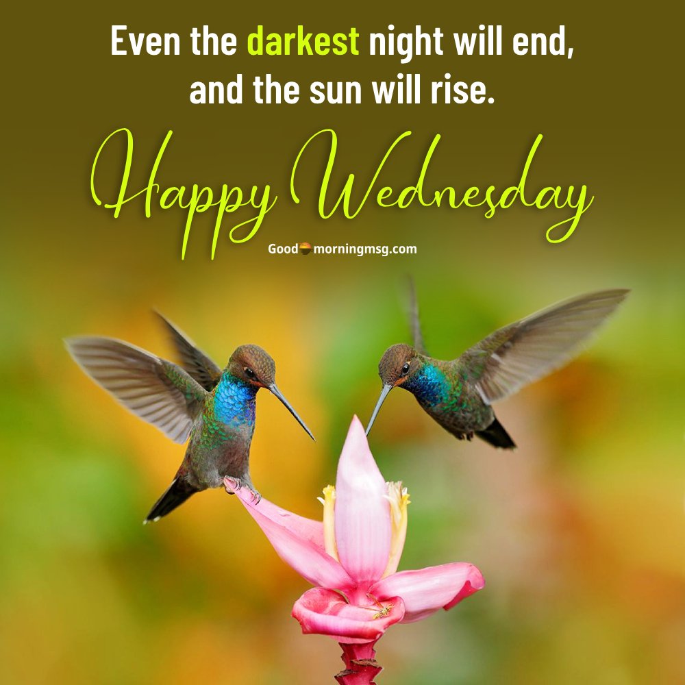 Good Morning Wednesday Images God