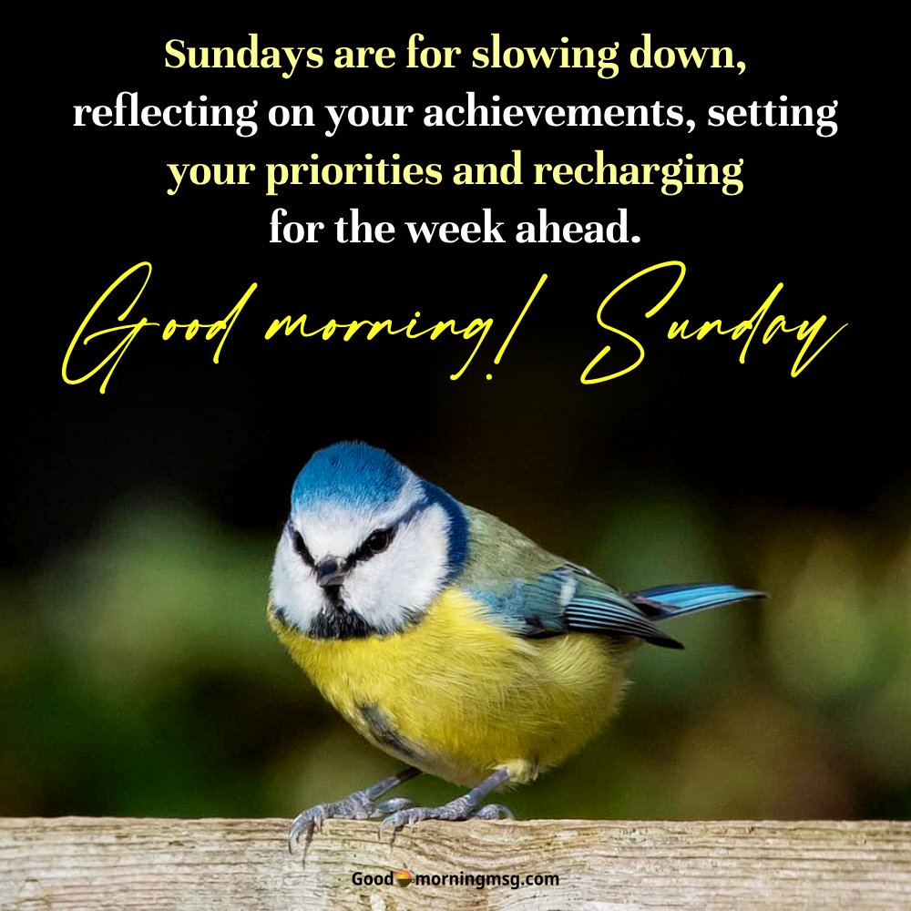 Inspirational Sunday Weekend Quotes I Goodmorningmsg