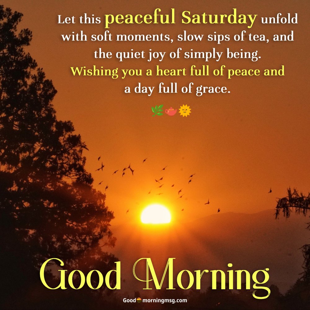 Saturday Weekend Funny Quotes For Friends I Goodmorningmsg