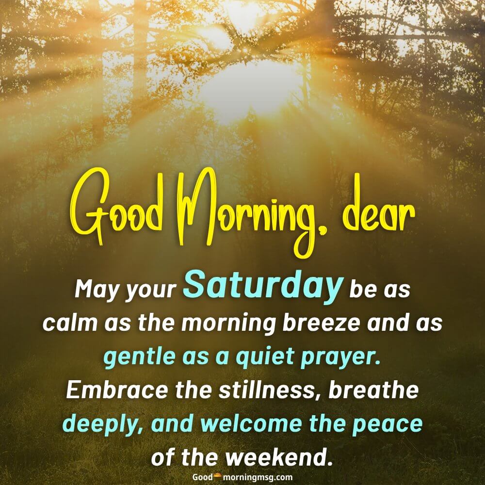 Short Funny Saturday Quotes And Images I Goodmorningmsg
