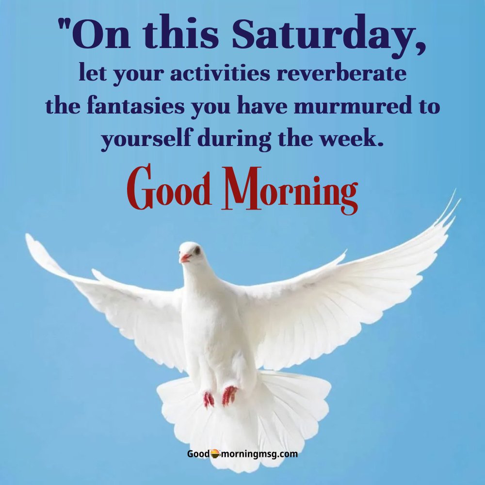 Short Saturday Motivational Quotes I Goodmorningmsg