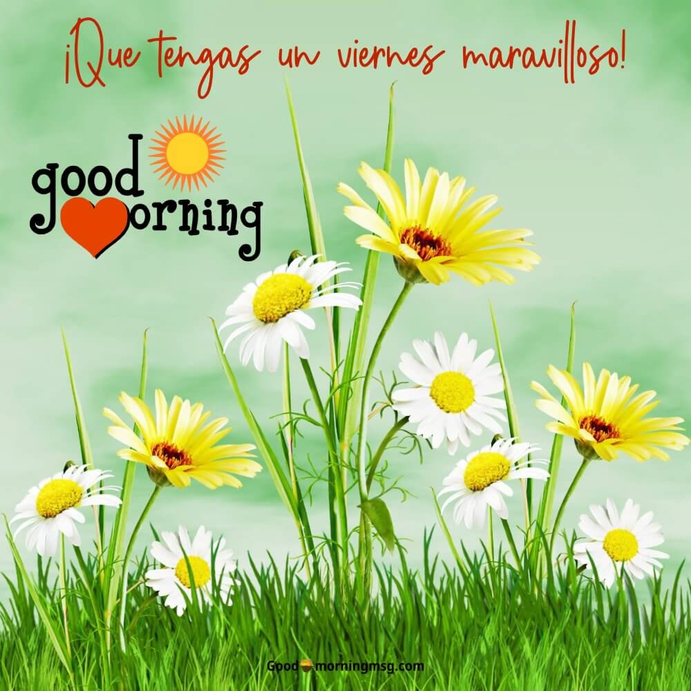 Feliz Viernes Bendiciones