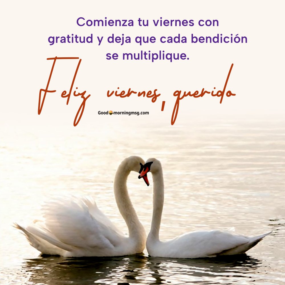 Viernes Buenos Dias