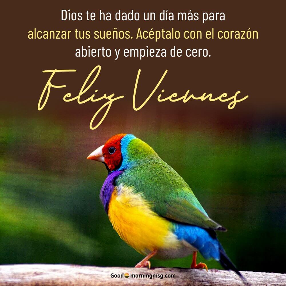 Viernes De Bendiciones