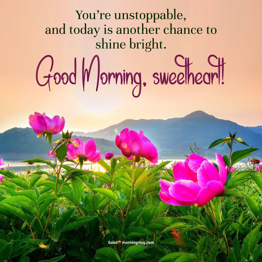 Beautiful Flower Quotes For Instagram Bio I Goodmorningmsg