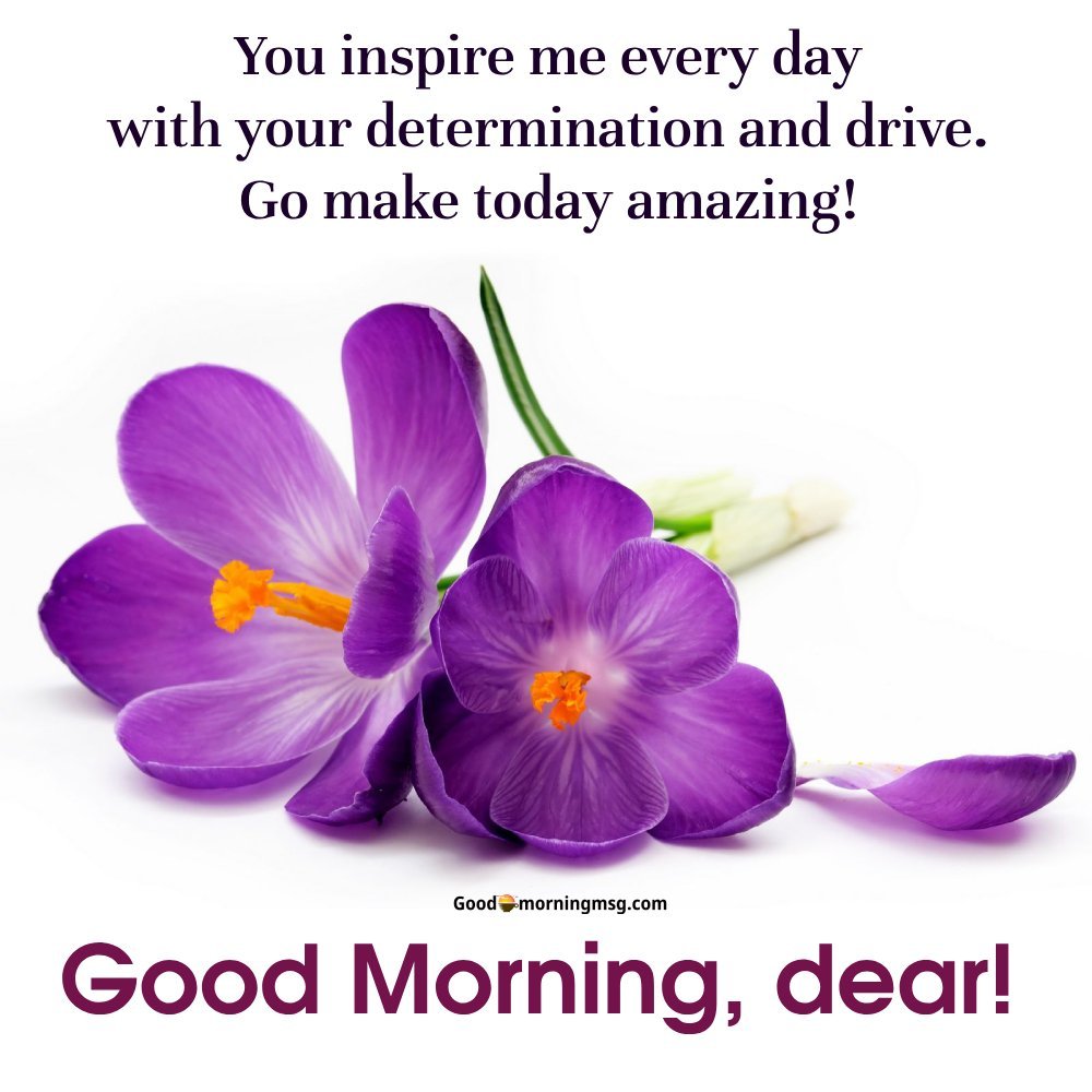 Beautiful Flower Quotes For Instagram For Girl I Goodmorningmsg