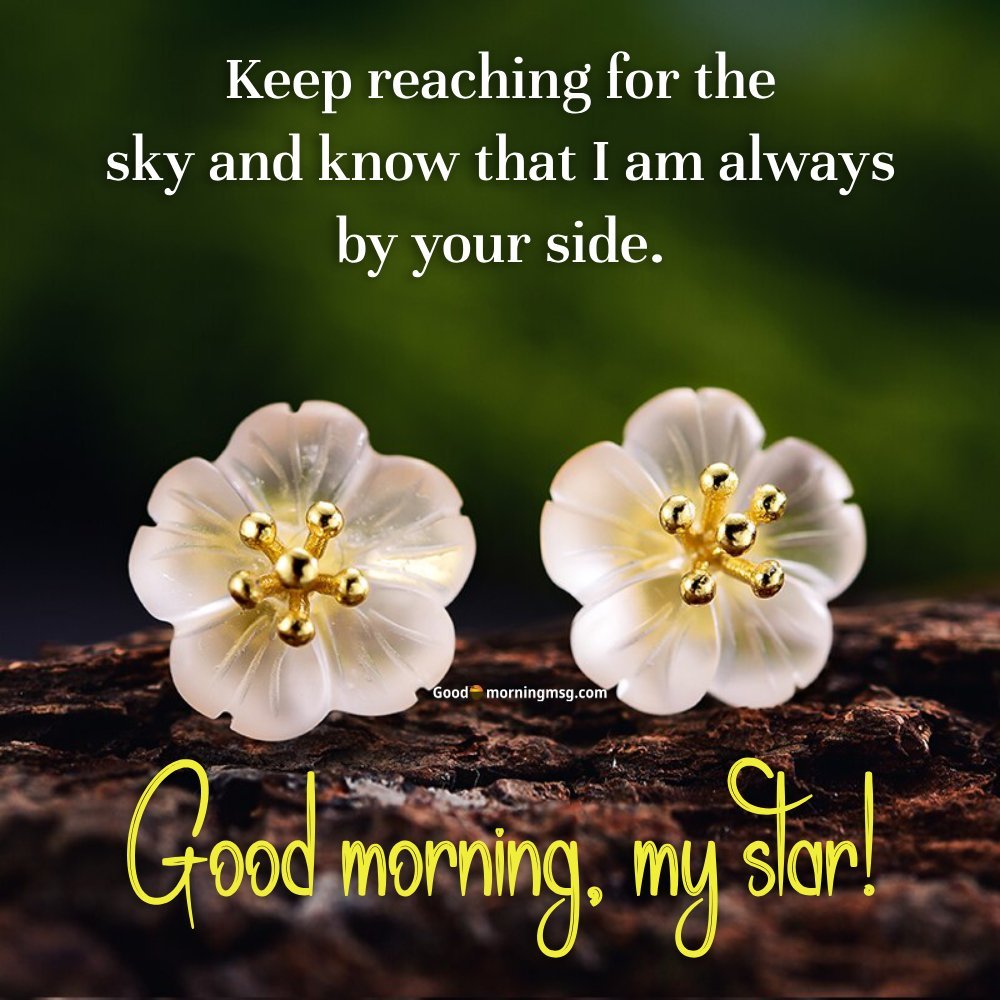 Beautiful Flower Quotes For Instagram Funny I Goodmorningmsg