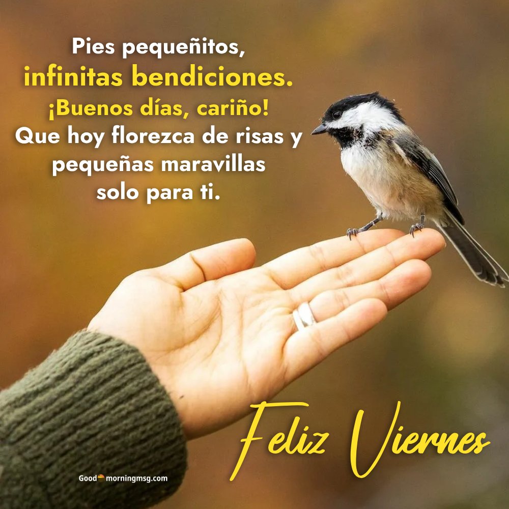 Citas De Bendiciones De Viernes Para Niñas I Goodmorningmsg