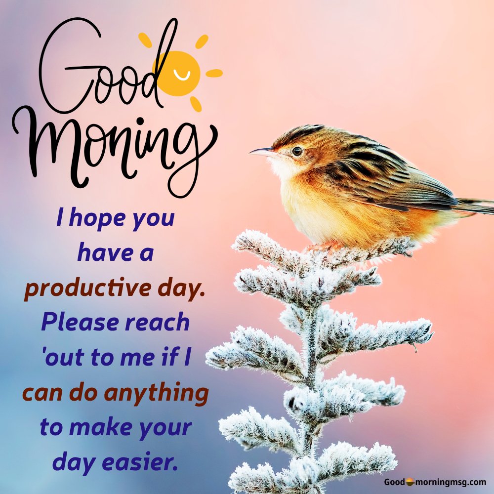 Good Morning Birds Images For Whatsapp I Goodmorningmsg