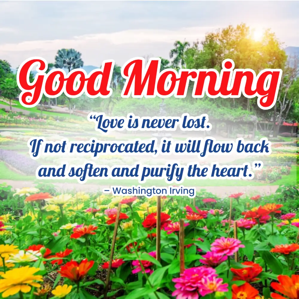 Good Morning Cartoon Wallaper