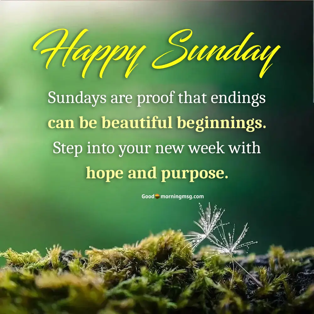 Good Morning Happy Sunday Images I Goodmorningmsg